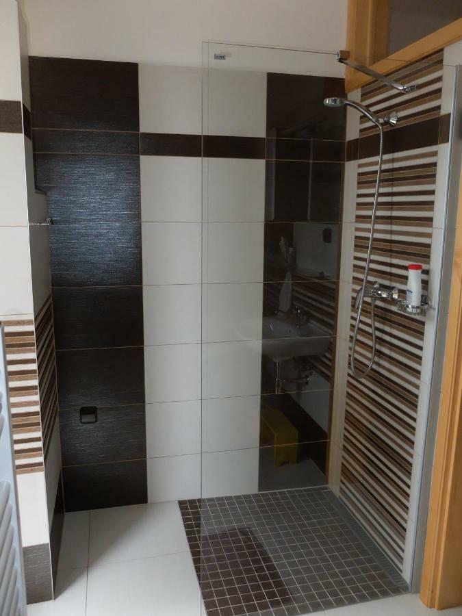 Apartment Třeboň Buitenkant foto
